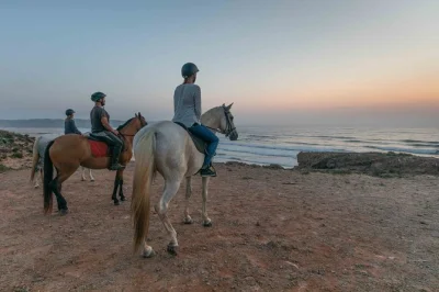 Feel the sea breeze & pine scents on a sunset horse riding tour at bordeira beach, starting in carrapateira. small groups, helmets included, book with confidence.
