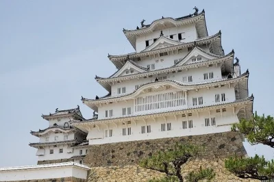 Entra nel castello di himeji con una guida privata, sali le antiche scale di legno, ascolta storie di samurai e passaggi segreti, e goditi la vista sulla città dall’alto. ingresso incluso.