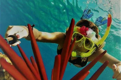 Découvrez molokini crater en super raft, nagez avec les poissons coralliens puis partagez un moment magique avec les tortues dans une crique privée. repas, matériel et guide inclus.
