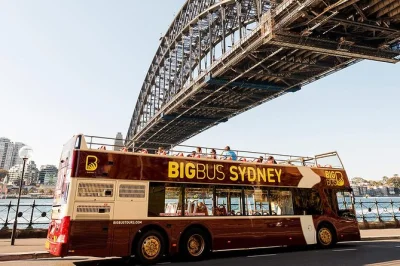 Feel the city’s pulse from sydney opera house to bondi beach on a hop-on hop-off bus tour. includes 24-hour pass, recorded commentary, and free wifi onboard.