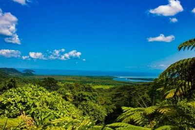 Feel the wild side of cape tribulation with a guided rainforest walk, daintree river croc cruise, and picnic lunch on the beach. includes pickup from cairns or port douglas.