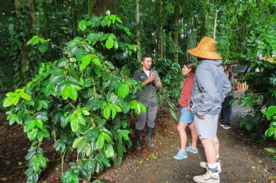 Let yourself taste la fortuna’s coffee, chocolate, and sugarcane with hands-on experiences, stories from locals, and private transport included for easy booking.