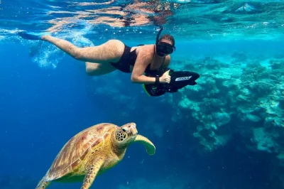 Feel the rush of sea scooters in rarotonga, swim with turtles, and snack on fresh island fruit—small group eco tour with photos and a local guide included.