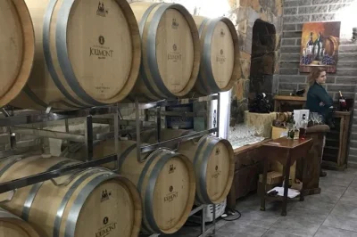 Step inside jolimont winery in canela for a guided tasting, cellar walk, and local cheesecake pairing. includes 8 tastings, gift glass, and easy booking.