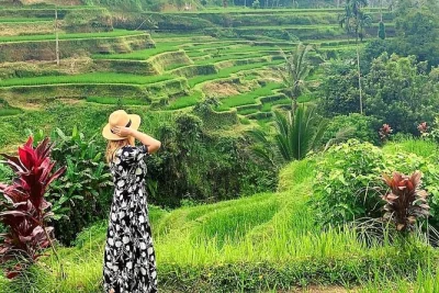 Feel the spray at tegenungan waterfall, meet monkeys in ubud’s forest, walk tegalalang rice terraces, and visit tirta empul temple—all with hotel pickup and lunch.