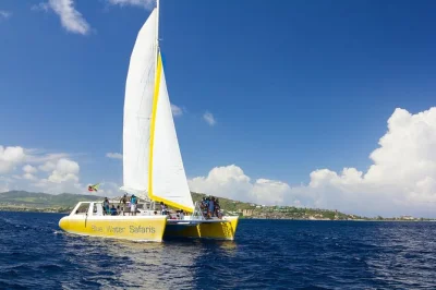 Sail from st kitts to nevis on a catamaran day trip with snorkeling, open bar, and lunch. relax at pinney's beach and enjoy pickup at port zante. book your spot now.