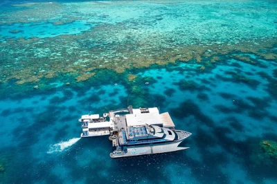 Step onto agincourt reef from port douglas for snorkeling, semi-submarine rides, and a buffet lunch—all with marine biologists and easy pickup included.