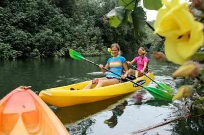 Feel the wild side of kauai with a guided kayak trip up the wailua river and a muddy rainforest hike to secret falls. all gear included, just show up ready.