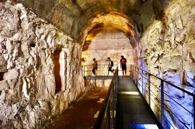 Step onto the colosseum’s arena floor or descend into its underground, then wander the roman forum & palatine hill with a local guide. includes entry tickets.