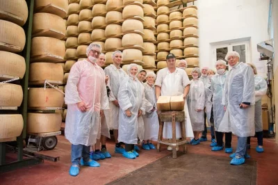 Descubra os sabores de parma: prove parmigiano reggiano, presunto de parma e vinagre balsâmico com guia local, além de almoço em uma trattoria familiar.
