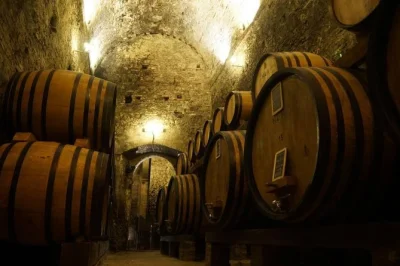 Descubra as adegas antigas de montepulciano com degustação guiada de vinhos docg, explore túneis etruscos e saboreie bruschetta com azeite local. inclui tour pela adega.