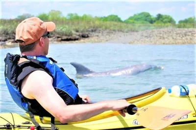 Feel the quiet of charleston’s marshes on a guided kayak tour through folly creek, with dolphin sightings, local wildlife, and all gear included. book your spot easily.