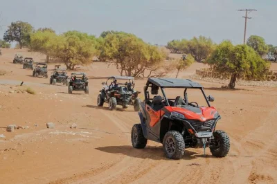 Feel the grit of souss-massa on a buggy safari from agadir or taghazout, with local guides, argan groves, and a berber tea break. includes hotel pickup.