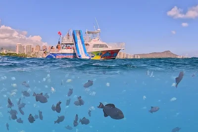 Feel the ocean breeze on a waikiki snorkel cruise with wildlife spotting, a two-story waterslide, and snacks. includes snorkeling gear and soft drinks for all ages.