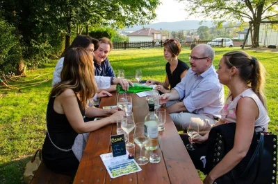 Let your senses wander on a vienna countryside wine tour—taste 8-12 local wines, meet winemakers, and enjoy a traditional meal. includes hotel pickup.
