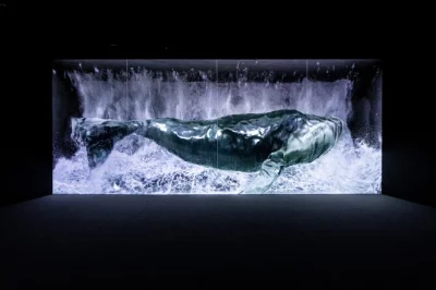 Step into arte museum las vegas for a sensory art journey inspired by nature, with timed entry and a media art teahouse. includes admission and easy online booking.