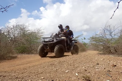 Feel the grit of curacao’s wild east on an atv tour, off-road tracks, local stories, and a salty caribbean dip. includes helmet, guide, and light refreshments.