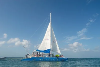 Feel the sea breeze on a 3-hour aruba catamaran tour with two snorkel stops, open bar, snacks, and water slide. includes all gear and a friendly local crew.