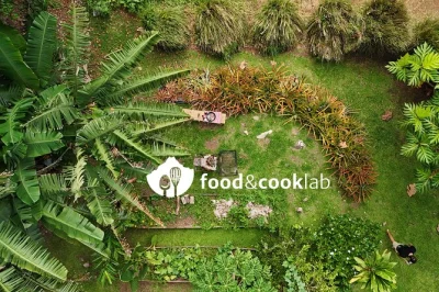 Feel the warmth of moorea’s paopao valley as you cook side by side with locals, taste fresh coconut milk, and share lunch in a lush garden setting. includes lunch & all fees.