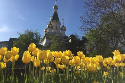 Wander sofia’s roman streets, peek inside the market hall, and feel the city’s layers with a private walking tour led by a local guide. includes accessible route.