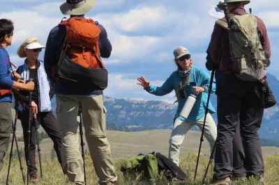 Watch bison herds, spot wolves from a distance, and hike wild trails in lamar valley with a local guide—includes picnic lunch and all gear for your yellowstone day.