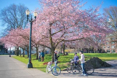 Pedal through portland’s art, riverside paths, and iconic bookstore on a guided bike or e-bike tour. includes gear, local guide, and a quirky finish in old town.