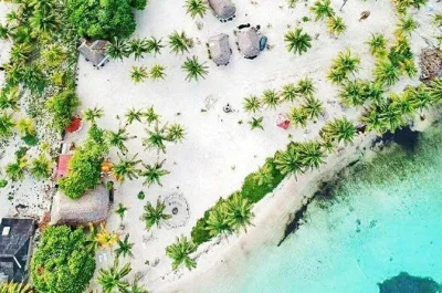 Scappa dalla folla e rilassati sulla spiaggia privata di xahuayxol vicino a costa maya, con pranzo messicano incluso, open bar, attrezzatura per snorkeling e trasporto andata e ritorno.