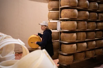 Start your day from bologna tasting parmigiano reggiano in modena, explore balsamic vinegar cellars, enjoy lambrusco winery tours, and relax over a modenese lunch. includes pickup.