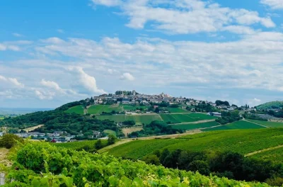 Meet sancerre winemakers, taste crottin de chavignol at a goat farm, enjoy a french lunch, and wander the village—all on a small-group day trip from paris.