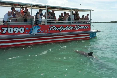 Watch dolphins in boca ciega bay, cruise past john's pass village, and spot treasure island homes on this eco-friendly boat tour. includes dolphin guarantee and restroom onboard.