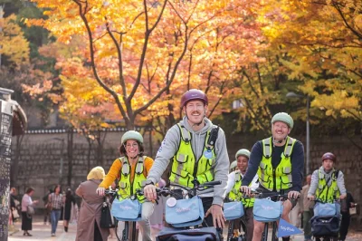 Feel the pulse of seoul by e-bike—ride past gyeongbokgung palace, sample street food at a local market, and wind down at jogyesa temple. includes guide & lunch.