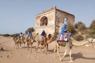 Vivi la brezza atlantica con un giro in cammello o quad vicino a essaouira, scopri il forte portoghese del xv secolo e osserva gli uccelli selvatici con una guida locale. include il transfer.