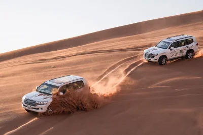Feel the rush of dubai’s high red dunes, try sandboarding, share a bbq dinner under desert stars, and enjoy live shows. includes hotel pickup and local guide.