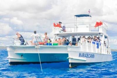 Snorkel catalina island from la romana. includes transport, buffet lunch, drinks, and dance classes. explore reefs and relax on a caribbean beach.