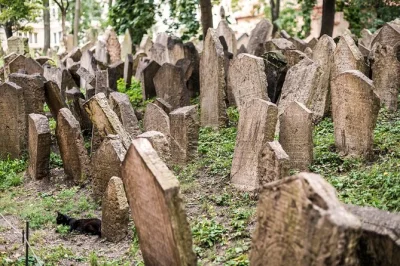 Step inside prague’s jewish quarter with a local guide, explore historic synagogues and the old jewish cemetery, and hear stories that linger long after the tour ends.