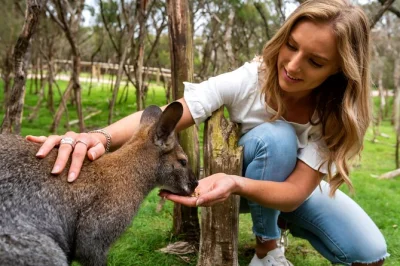 Watch the penguin parade on phillip island, meet kangaroos at moonlit sanctuary, and stroll seaside towns—all with entry tickets and transport from melbourne included.