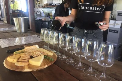 Swirl, sip, and taste your way through swan valley’s best wineries, enjoy a tapas lunch, visit a local distillery, and end with chocolate—all with pickup included.
