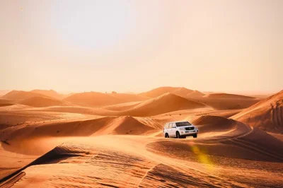 Feel the rush of dune bashing, ride camels at sunset, and share a bbq dinner under abu dhabi’s stars. includes hotel pickup and live performances at a desert camp.