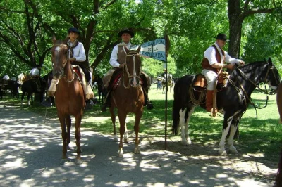 Trade city buzz for a day in san antonio de areco—watch gauchos ride, taste asado, and stroll the pampas. includes pickup, lunch, and local guide.