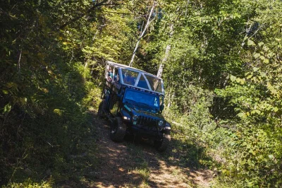Feel the smoky mountains air on a newfound gap jeep tour from pigeon forge, with a local guide, history stops, and a wild ride back—includes all fees.