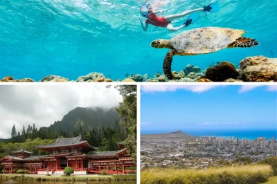 Scopri oahu autentica con un tour privato: soste locali, tartarughe marine, dole plantation e pick-up incluso. personalizzato per il tuo gruppo, al tuo ritmo.