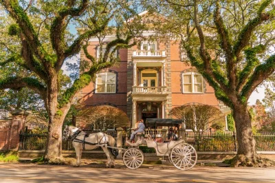 Feel the rhythm of charleston’s streets on a private horse-drawn carriage ride. pass rainbow row, city market & st. philips church with a local guide. small group, group pricing.