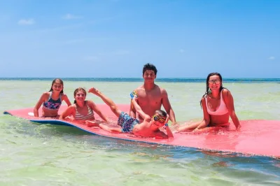 Découvrez key west autrement : balade en catamaran vers des bancs de sable paisibles, kayak dans les mangroves et déjeuner pique-nique inclus avec guide local.