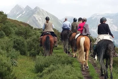 Feel the rhythm of madrid’s mountains on horseback, guided by locals. small groups, private options, and all gear included. just an hour from city center.