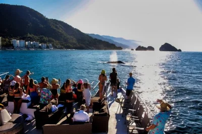 Watch humpback whales at sunset on banderas bay from a luxury yacht. includes open bar, fresh ceviche & guacamole, and pickup options for a relaxed evening.
