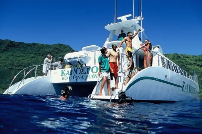 Feel the wild side of oahu’s waianae coast on a snorkeling cruise with dolphin watching, hot hawaiian buffet, drinks, and roundtrip waikiki pickup included.
