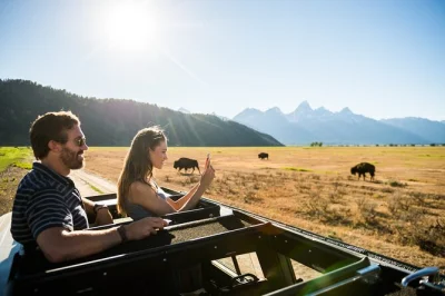Feel the wild side of grand teton on a sunset wildlife tour from jackson hole. spot animals with pro optics, chat with naturalist guides, and ride in comfort. includes snacks.