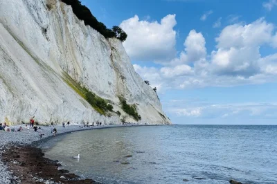 Feel the wind atop denmark’s forest tower, wander møns klint’s chalk cliffs, and share laughs with locals on this day trip from copenhagen—includes transport.