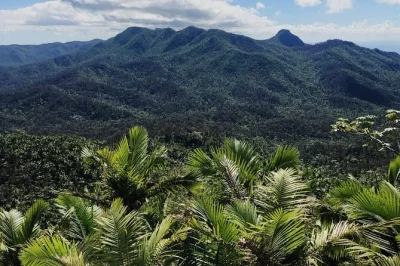 Feel the rush of el yunque’s natural waterslides, explore rainforest trails, then unwind at luquillo beach with local eats—includes pickup and expert guide.
