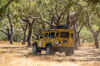 Descubre el algarve en un safari en jeep land rover, probando licores, miel y mermeladas artesanales. incluye recogida, paradas para nadar y relatos del guía.